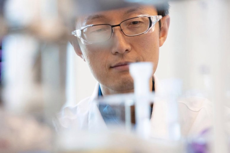 Innovation och vetenskaplig expertis