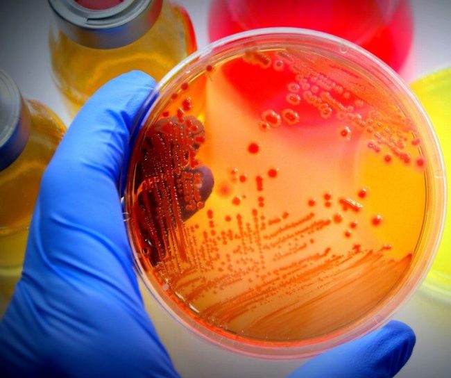 Vårt ansvar - Antibiotika - MSD Sverige