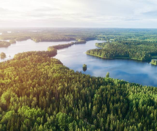 Transparens - Framtidens vårdutmaningar - MSD Sverige